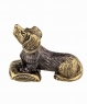 Dachshund dog on a pillow without stand 8L4I74