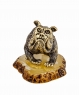 Dog Bulldog English Cherchel IX01VO