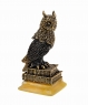 Bird Eagle Owl Scientist GWH0MM