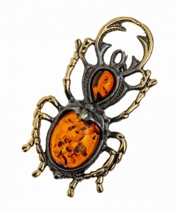 Brooch Swimming Beetle TN43NF