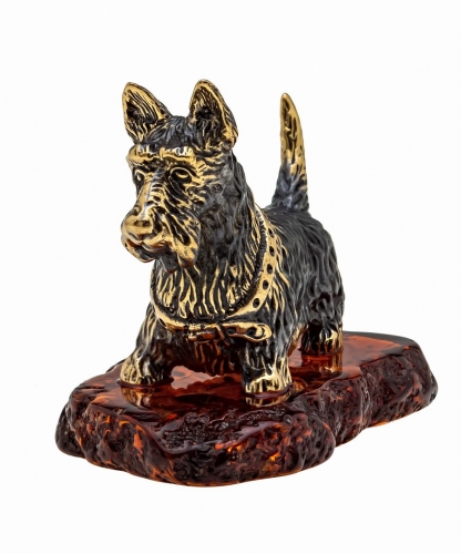 Dog Scotch Terrier 9MWY20