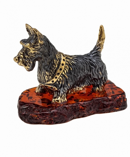 Dog Scotch Terrier 9MWY20