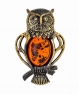 Brooch Owl Wise FSKMRT