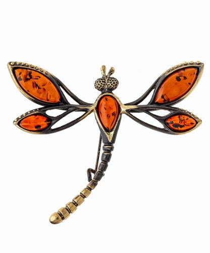 Brooch Dragonfly Beauty D1P5W2