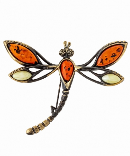 Brooch Dragonfly Beauty D1P5W2