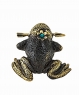 Frog Toad with arrow without stand JH0Y4F