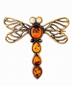 Dragonfly Egoza Brooch M07YHT