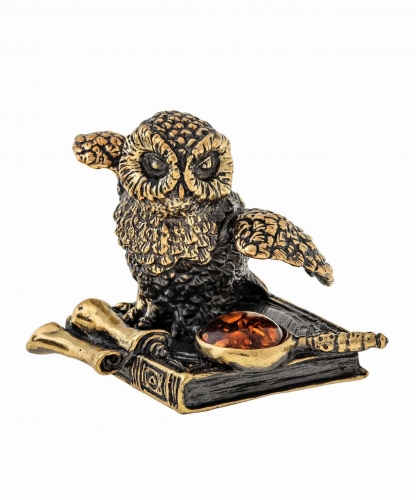 Bird Owl on a book with a magnifying glass RIUBPV