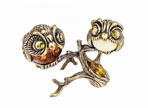 Birds Owl-friends on branch O47QLR