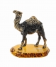 Camel in the Desert 2QNN3D