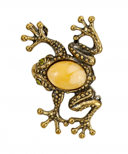 Brooch Frog toad on leg LX7YXY