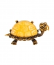 Brooch Turtle To 1UHVSH