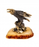 Bird Raven on a stone 5KNF99