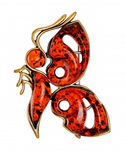 Brooch Butterfly Imagination RTP63Y