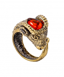 Ring Aries O53EA1