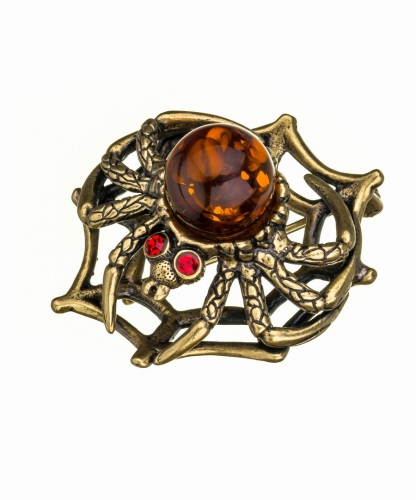 Spider on the Web Brooch OWJJX8