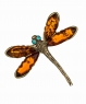 Dragonfly Brooch RL0RQ7