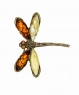 Dragonfly Brooch RL0RQ7