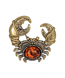 Brooch Zodiac Sign Cancer O6N14H