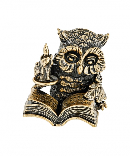 Bird Owl Reader WK1MDN