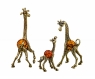 Giraffes family XCMJKJ