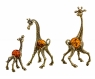 Giraffes family XCMJKJ