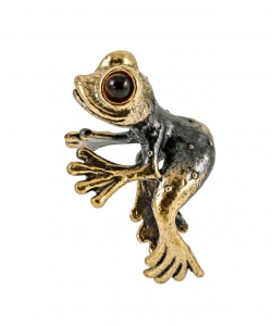 Ring Frog Amazonian PLP92T