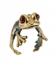 Ring Frog Amazonian PLP92T