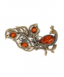 Brooch Peacock Magic QJ6TB8