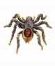 Spider Tarantula 2X1WLH