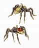 Spider Tarantula 2X1WLH