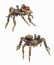 Spider Tarantula 2X1WLH