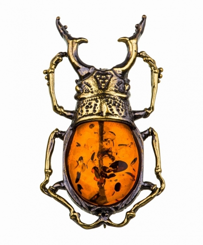 Brooch Beetle Rogach J7MS4M