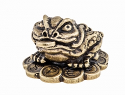 Feng Shui frog with coins EHKF49