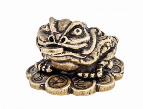 Feng Shui frog with coins EHKF49